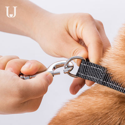 5M Panjang Tali Anjing yang Dapat Diperpanjang Traksi Dorsal Tali Anjing yang Dapat Ditarik Otomatis