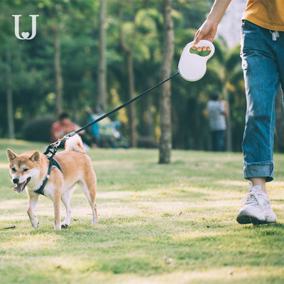 5M Panjang Tali Anjing yang Dapat Diperpanjang Traksi Dorsal Tali Anjing yang Dapat Ditarik Otomatis