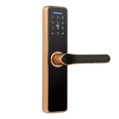 4 Baterai AAA Hotel Smart Lock