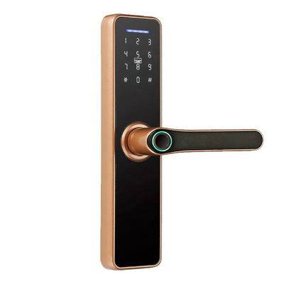 Aplikasi Rosh Ttlock Tuya Smart Electronic Lock Wifi Password Lock