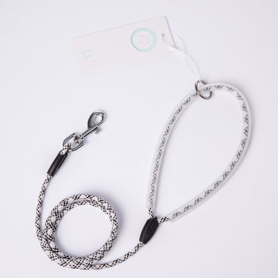 Bergaris 150cm Polyester Chain Dog Lead Handle Puppy Training Leash
